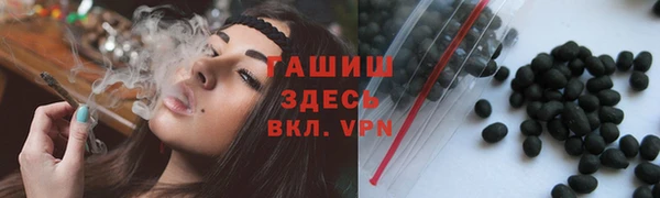 спиды Бородино