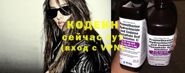 спиды Бородино