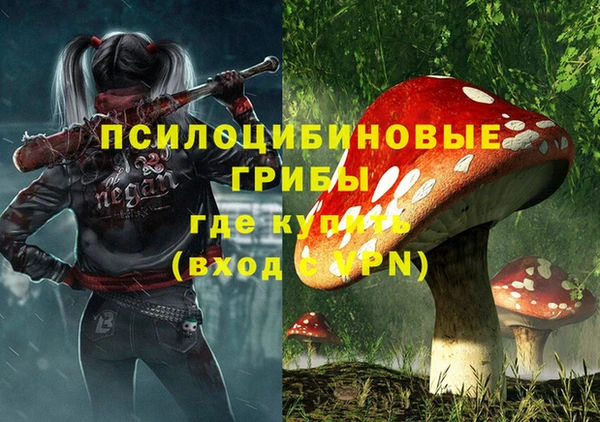спиды Бородино