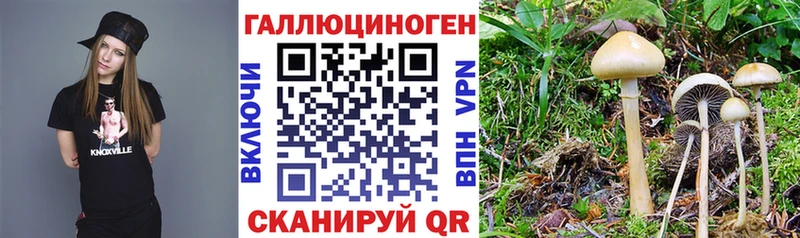 Псилоцибиновые грибы прущие грибы  продажа наркотиков  Дивногорск 